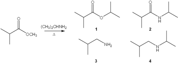 What is the major organic product obtained from the following reaction?   A)  1 B)  2 C)  3 D)  4