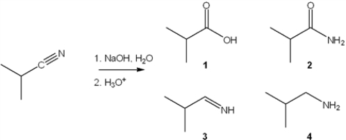 What is the major organic product obtained from the following reaction?   A)  1 B)  2 C)  3 D)  4