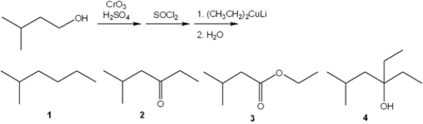 What is the major organic product of the following sequence of reactions?   A)  1 B)  2 C)  3 D)  4