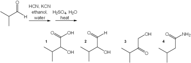 What is the major organic product obtained from the following reaction?   A)  1 B)  2 C)  3 D)  4