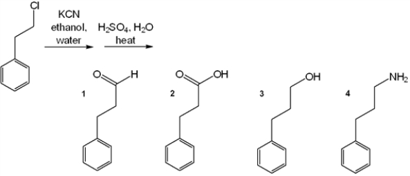What is the major organic product obtained from the following reaction?   A)  1 B)  2 C)  3 D)  4