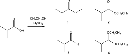 What is the major organic product obtained from the following reaction?   A)  1 B)  2 C)  3 D)  4