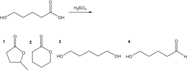 What is the major organic product obtained from the following reaction?   A)  1 B)  2 C)  3 D)  4