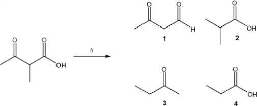 What is the major organic product obtained from the following reaction?   A)  1 B)  2 C)  3 D)  4