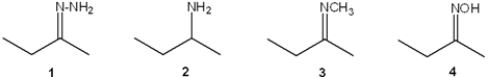 What is the correct assignment of the names of the following functional groups?   A)  1 = imine; 2 = amine; 3 = hydrazone; 4 = oxime B)  1 = hydrazone; 2 = amine; 3 = imine; 4 = oxime C)  1 = oxime; 2 = imine; 3 = amine; 4 = hydrazone D)  1 = imine; 2 = hydrazone; 3 = oxime; 4 = amine