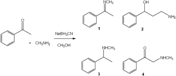 What is the major organic product obtained from the following reaction?   A)  1 B)  2 C)  3 D)  4