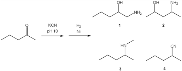What is the major organic product obtained from the following sequence of reactions?   A)  1 B)  2 C)  3 D)  4