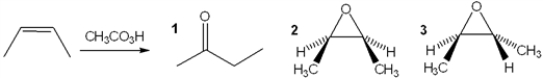 What is the major organic product obtained from the following reaction?   A)  only 1 B)  only 2 C)  only 3 D)  both 2 and 3