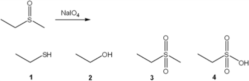What is the major organic product obtained from the following reaction?   A)  1 B)  2 C)  3 D)  4