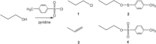 What is the major organic product obtained from the following reaction?   A)  1 B)  2 C)  3 D)  4