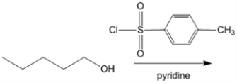 What is the major organic product obtained from the following reaction?  