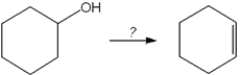 What is the best choice of reagent to perform the following transformation?   A)  H<sub>2</sub>SO<sub>4</sub> B)  H<sub>2</sub>O C)  NaOCH<sub>3</sub> D)  KOtBu
