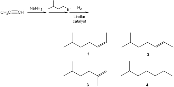 <strong>What is the major organic product obtained from the following series of reactions?  </strong> A) 1 B) 2 C) 3 D) 4 <div style=padding-top: 35px> 