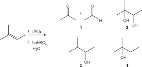 What is the major organic product obtained from the following reaction?   A)  1 B)  2 C)  3 D)  4