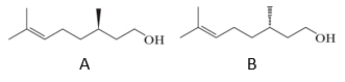  X  is a naturally occurring terpenoid with the molecular formula C<sub>10</sub>H<sub>18</sub>O. It is isolated from geranium oil.  X  reacts with (S) -BINAP-RuCl<sub>3</sub> and (R) -BINAP-RuCl<sub>3</sub> to form A and B, respectively. Identify  X . ​   A)  Naproxen B)  Geraniol C)  Cannabinoid D)  Curcuminoid