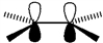 What type of molecular orbital is formed by the overlap of atomic orbitals shown?   A)  σ bonding B)  σ antibonding C)  π bonding D)  π antibonding