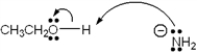 Which of the following terms describes the role of ethanol in the acid-base reaction shown?   A)  Brønsted-Lowry acid B)  Brønsted-Lowry base C)  Lewis acid D)  Lewis base