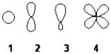 Which of the following best represents the shape of a 2p atomic orbital of carbon?   A)  1 B)  2 C)  3 D)  4