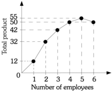 Refer to the information provided in Figure 7.4 below to answer the question(s)  that follow.   Figure 7.4 -Refer to Figure 7.4. The marginal product of the sixth worker is A)  -50. B)  -5. C)  5. D)  8.33.