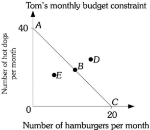 Refer to the information provided in Figure 6.1 below to answer the question(s)  that follow.   Figure 6.1 -Refer to Figure 6.1. AC represents Tom's budget constraint. Point D then represents a point that is A)  an available option, as Tom is just spending all of his income. B)  available, but at which he does not spend all his income. C)  not available because it represents a combination of hamburgers and hot dogs that he cannot purchase with his income. D)  in his opportunity set but not on his budget constraint.
