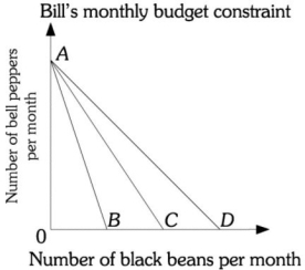 Refer to the information provided in Figure 6.4 below to answer the question(s)  that follow.   Figure 6.4 -Refer to Figure 6.4. Billʹs budget constraint is AC. If the bell peppers price decreases, Billʹs budget constraint will A)  swivel toward AB. B)  remain at AC. C)  swivel toward AD. D)  The budget constraint is not depicted on the diagram.