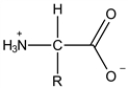 <strong>What is the most prevalent form of the amino acid glycine (R = H) in an aqueous environment when mixed with an excess of strong acid.</strong> A) B) C) D) E)