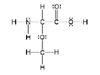 How many sigma and pi bonds are in the molecule pictured below?   A)  thirteen sigma bonds and one pi bond B)  eleven sigma bonds and two pi bonds C)  thirteen sigma bonds and two pi bonds D)  eleven sigma bonds and five pi bonds E)  five sigma bonds and eleven pi bonds