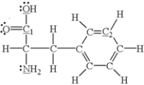 Which of the underlined atoms (C<sub>1</sub>, C<sub>2</sub>, N, and O)  are sp<sup>2</sup> hybridized?   A)  N and O B)  C1 and N C)  C1 and O D)  C2 and N E)  C1 and C2