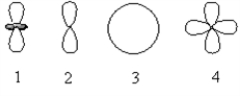 Which of the following orbital boundary surfaces represent d-orbitals?   A)  1 only B)  3 only C)  2 only D)  1 and 2 E)  1 and 4