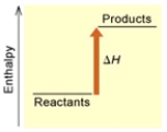 When 1 mole of Fe<sub>2</sub>O<sub>3</sub>(s)  reacts with H<sub>2</sub>(g)  to form Fe(s)  and H<sub>2</sub>O(g)  by the following reaction, 98.8 kJ of energy is absorbed.  Fe<sub>2</sub>O<sub>3</sub>(s)  + 3 H<sub>2</sub>(g)  → 2 Fe(s)  + 3 H<sub>2</sub>O(g)    (A)     (B)  Is the reaction endothermic or exothermic, and which of the enthalpy diagrams above Represents this reaction? A)  Endothermic; A B)  Endothermic; B C)  Exothermic; A D)  Exothermic; B E)  None of these