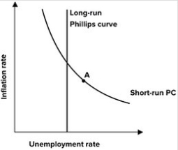 If the economy is at point A in the Phillips curve graph shown, what prediction would you make for unemployment in the long run?   A) It will increase. B) It will decrease. C) It will remain constant. D) It will explode.