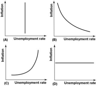 Refer to the graphs shown. Which of the graphs correctly depict the long-run Phillips curve?   A) A B) B C) C D) D