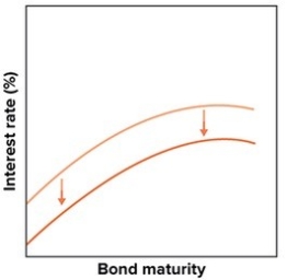 Which of the following would have the impact shown in the accompanying graph?   A) Operation twist B) Money easing C) Quantitative easing D) Precommitment policy