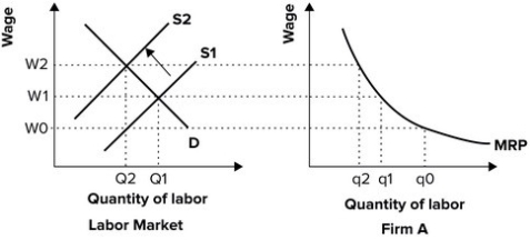 Refer to the graphs shown.   If labor supply shifts from S<sub>1</sub> to S<sub>2</sub>, the market wage rate will: A) increase from W0 to W1. B) increase from W1 to W2. C) decrease from W1 to W0. D) decrease from W2 to W1.