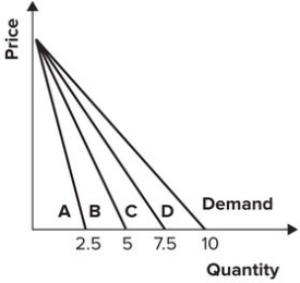 Refer to the following graph.   If the demand curve is curve D for a monopoly, the marginal revenue curve is: A) A, which intersects the x-axis at 1/4 the quantity where the demand curve intersects the x-axis. B) B, which intersects the x-axis at 1/2 the quantity where the demand curve intersects the x-axis. C) C, which intersects the x-axis at 3/4 the quantity where the demand curve intersects the x-axis. D) D, which intersects the x-axis at the same quantity where the demand curve intersects the x-axis.