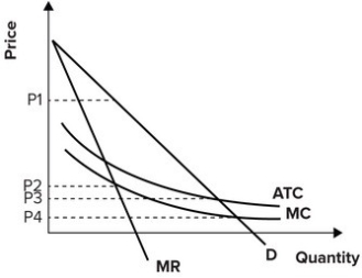 Refer to the graph shown. If a natural monopolist were not regulated, the firm would charge:   A) P<sub>1</sub>. B) P<sub>2</sub>. C) P<sub>3</sub>. D) P<sub>4</sub>.
