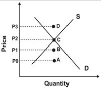 Refer to the following graph.   Which price will create the greatest shortage? A) P0 B) P1 C) P2 D) P3