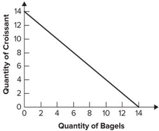 Refer to the following graph. If the price of bagels falls, the budget constraint in the graph will rotate:   A)  out and become flatter. B)  out and have the same slope. C)  in and become flatter. D)  in and become steeper.