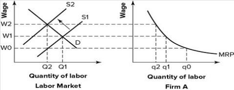 Refer to the graph shown.   Which curve represents the firm's derived demand for labor curve? A)  D B)  S1 C)  S2 D)  MRP