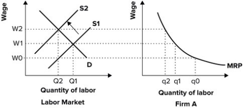 Refer to the graph shown.   If labor supply shifts from S<sub>1</sub> to S<sub>2</sub>, the firm will: A)  reduce employment from q<sub>0</sub> to q<sub>1</sub> to maximize profit where MRP = W. B)  reduce employment from q<sub>1</sub> to q2 to maximize profit where MRP = W. C)  raise employment from q1 to q0 to maximize profit where MRP = W. D)  raise employment from q2 to q1 to maximize profit where MRP = W.