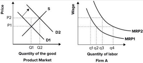 Refer to the graphs shown.   If product demand increases from D<sub>1</sub> to D<sub>2</sub>, causing the product price to increase, the MRP curve of firm A (a supplier of this product)  will: A)  remain the same, but there will be a movement upward and to the left along MRP1. B)  remain the same, but there will be a movement downward and to the right along MRP2. C)  shift to the right. D)  shift to the left.