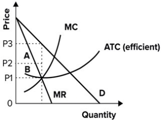 Refer to the following graph.   A lazy monopolist is best described by earning area A and B in profits.