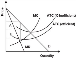 Refer to the following graph.   The additional profit that might be achieved by monitoring a lazy monopolist with ATC (X-inefficient)  is equal to the area of rectangle: A)  A minus the cost of monitoring. B)  B minus the cost of monitoring. C)  A plus rectangle B minus the cost of monitoring. D)  A minus rectangle B minus the cost of monitoring.