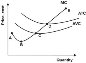 Refer to the graph shown. The supply curve for the perfectly competitive firm is best represented by the segment:   A)  AB. B)  BD. C)  CE. D)  DE.