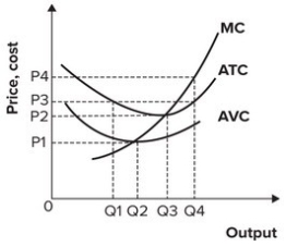 Refer to the graph shown. What price represents the shutdown price?    A)  P<sub>1</sub> B)  P<sub>2</sub> C)  P<sub>3</sub> D)  P<sub>4</sub>