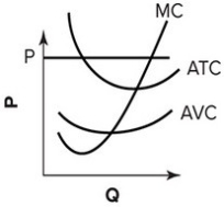 Refer to the following graph.   The perfectly competitive firm depicted is currently: A)  earning positive economic profit. B)  earning zero economic profit. C)  incurring a loss, but the loss is smaller than the firm's total fixed cost. D)  incurring a loss that is larger than total fixed cost, and so the firm should shut down.