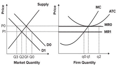 Refer to the graphs shown, which depict a perfectly competitive market and firm in a constant-cost industry. If market demand decreases from D<sub>0</sub> to D<sub>1</sub>, in the long run:   A)  new firms will enter this market and the price will return to P<sub>0</sub>. B)  new firms will enter this market and the price will remain at P<sub>1</sub>. C)  some firms will exit this market and the price will return to P<sub>0</sub>. D)  some firms will exit this market and the price will remain at P<sub>1</sub>.