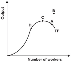 Refer to the graph shown.   With efficient production, this firm can maximize production at point: A)  A. B)  B. C)  C. D)  D.