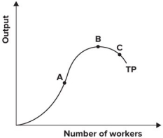 Refer to the graph shown which shows total product. At point B:   A)  marginal product is at its minimum. B)  marginal product is at its maximum. C)  marginal product is zero. D)  average product is at its maximum.