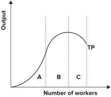 Refer to the graph shown. Within which section(s)  of the production function is marginal product increasing?   A)  A B)  B C)  C D)  A and B